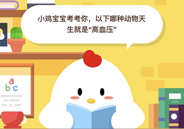 哪种动物天生就是高血压