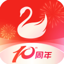 天鹅到家