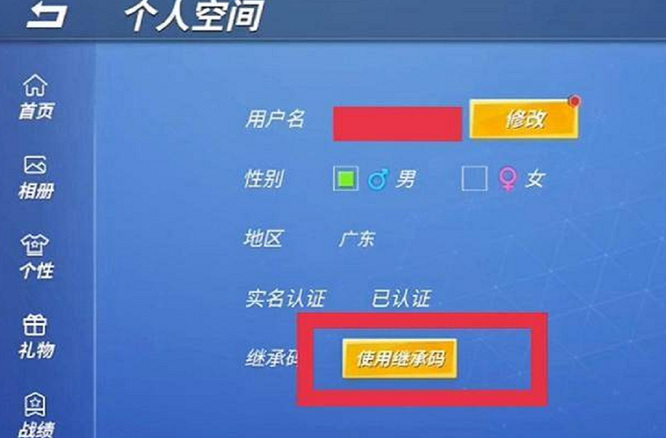 《逃跑吧少年》继承码使用方法