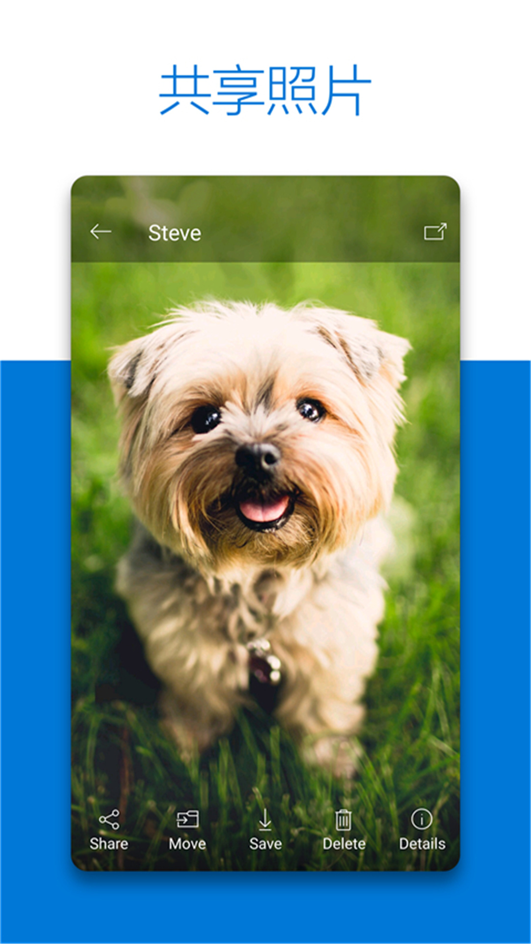 OneDrive手机版截图2