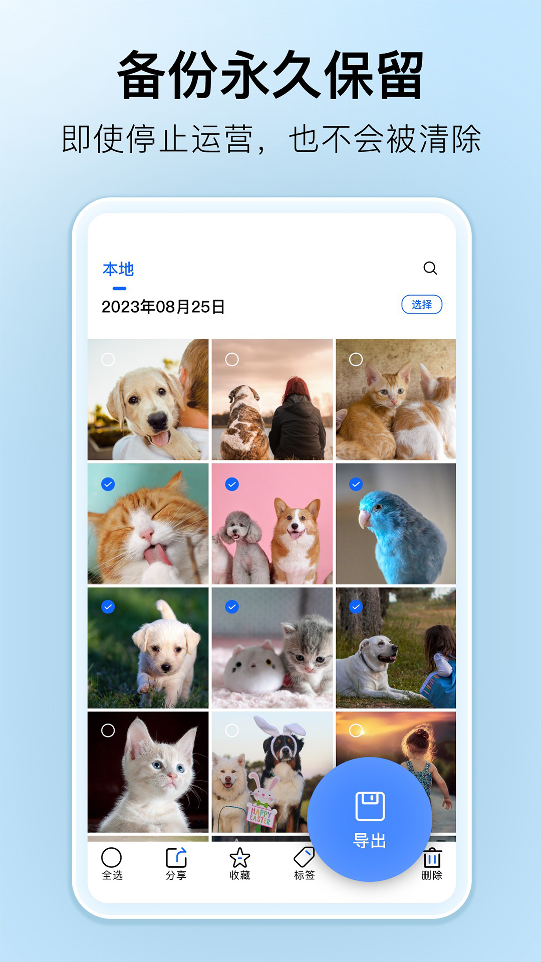 深林集影app截图1