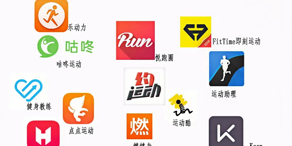 运动健身