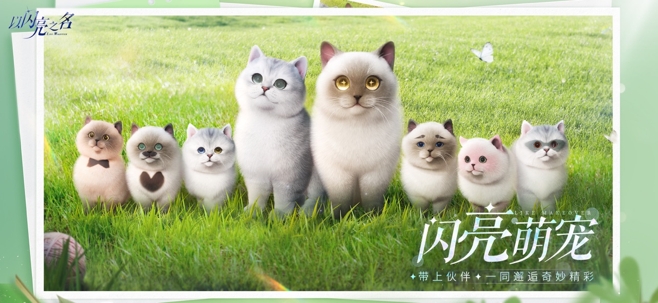 以闪亮之名官方正版截图7