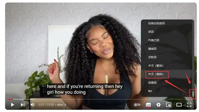 YouTube手机版