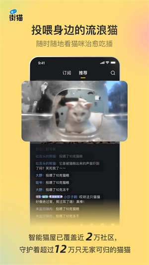 哈啰街猫截图2