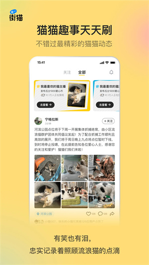 哈啰街猫截图4