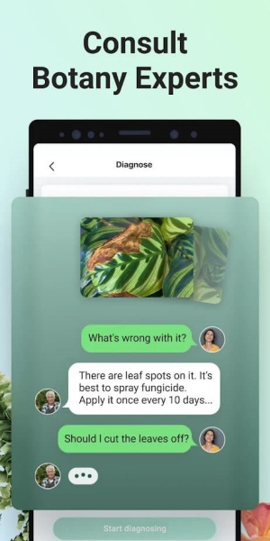 形色识植物截图3