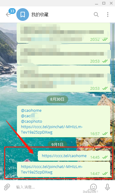 cc聊天软件cloudchat