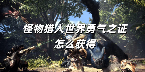 怪物猎人世界勇气之证怎么获得