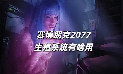 赛博朋克2077生殖系统有啥用