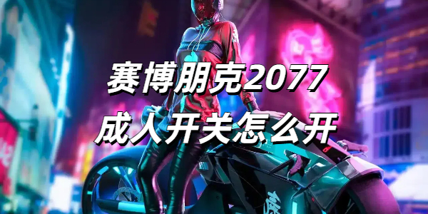 赛博朋克2077成人开关怎么开