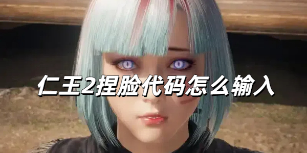 仁王2捏脸代码怎么输入