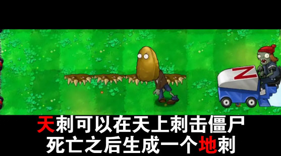 植物大战僵尸吃席版