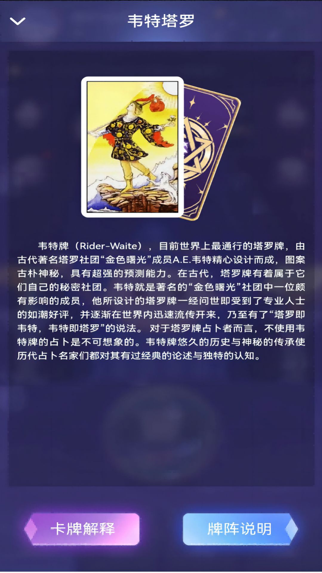 塔罗精灵截图1