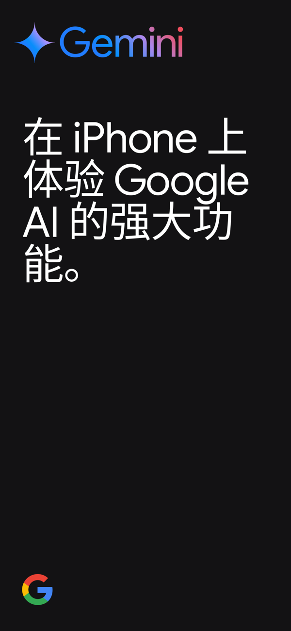 Google Gemini截图1
