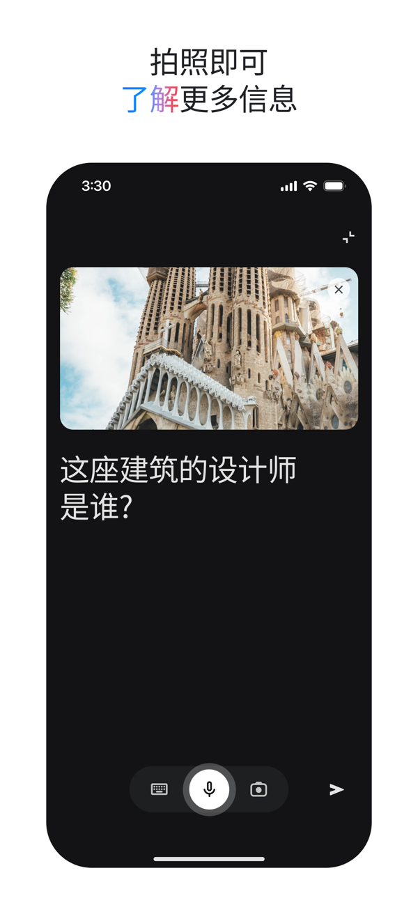 Google Gemini截图5