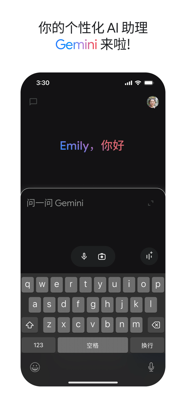 Google Gemini截图6