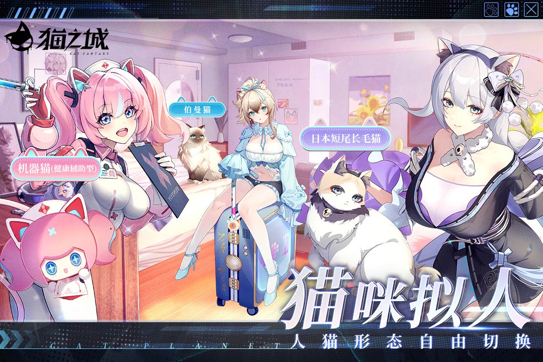 猫之城九游渠道服截图4