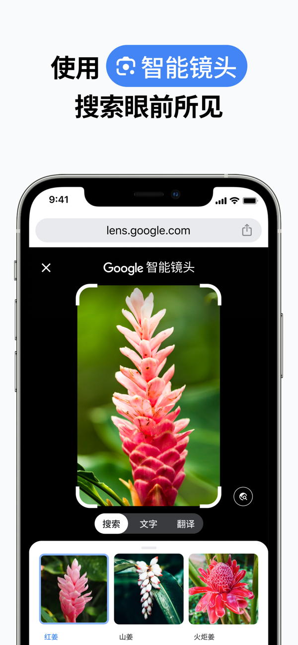 chrome浏览器截图8