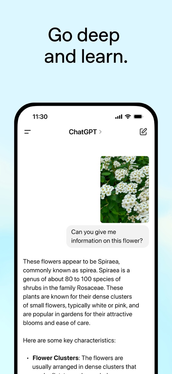 chat4.0国内版截图2