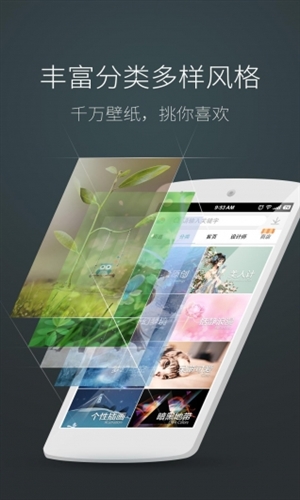 海豚壁纸截图2