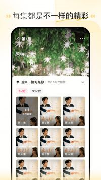 喜果免费短剧截图2