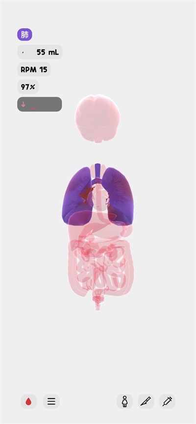 life生命模拟器截图1