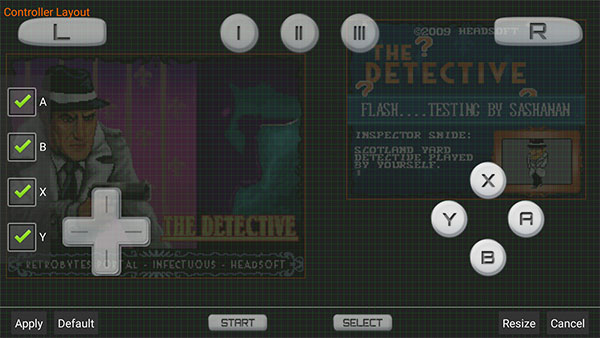 DraStic模拟器截图1