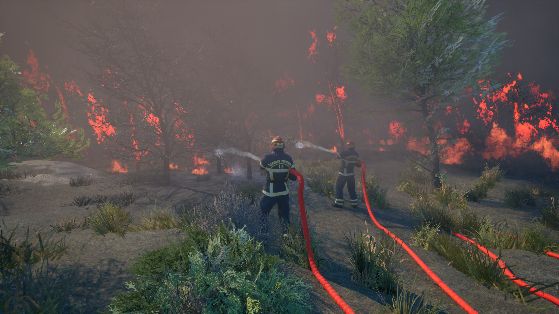 Rescue Ops Wildfire截图5