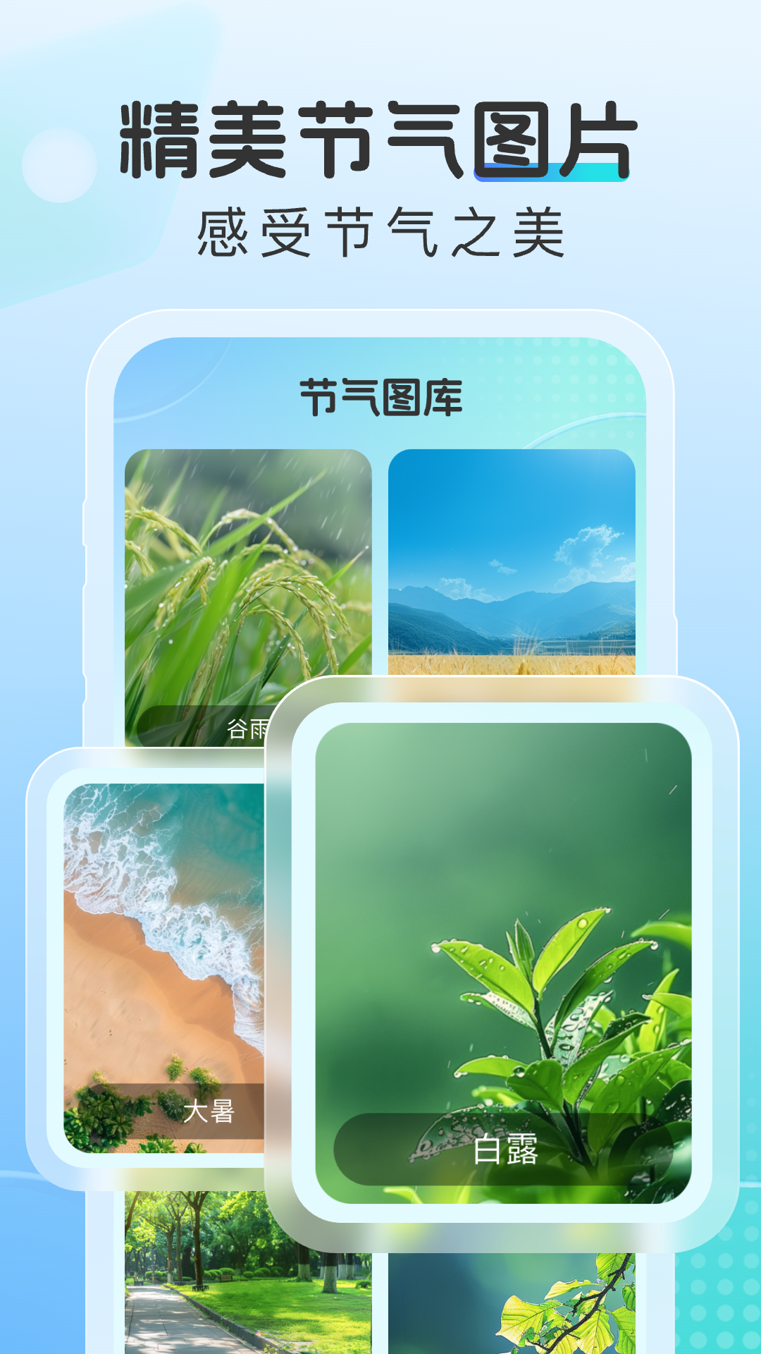 晴云指南截图3