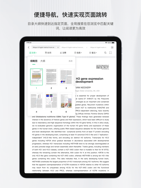 小绿鲸