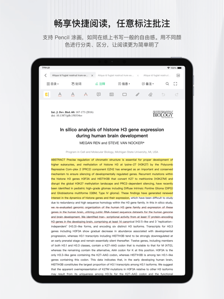 小绿鲸