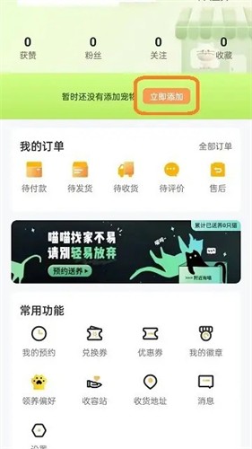 附近有喵云领养