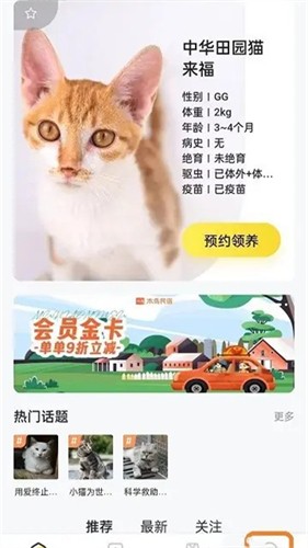 附近有喵云领养