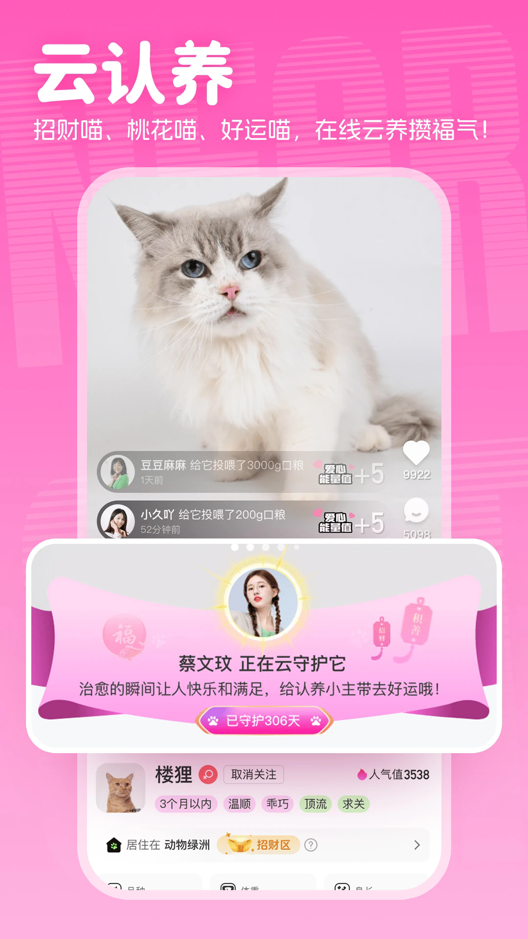 附近有喵截图2