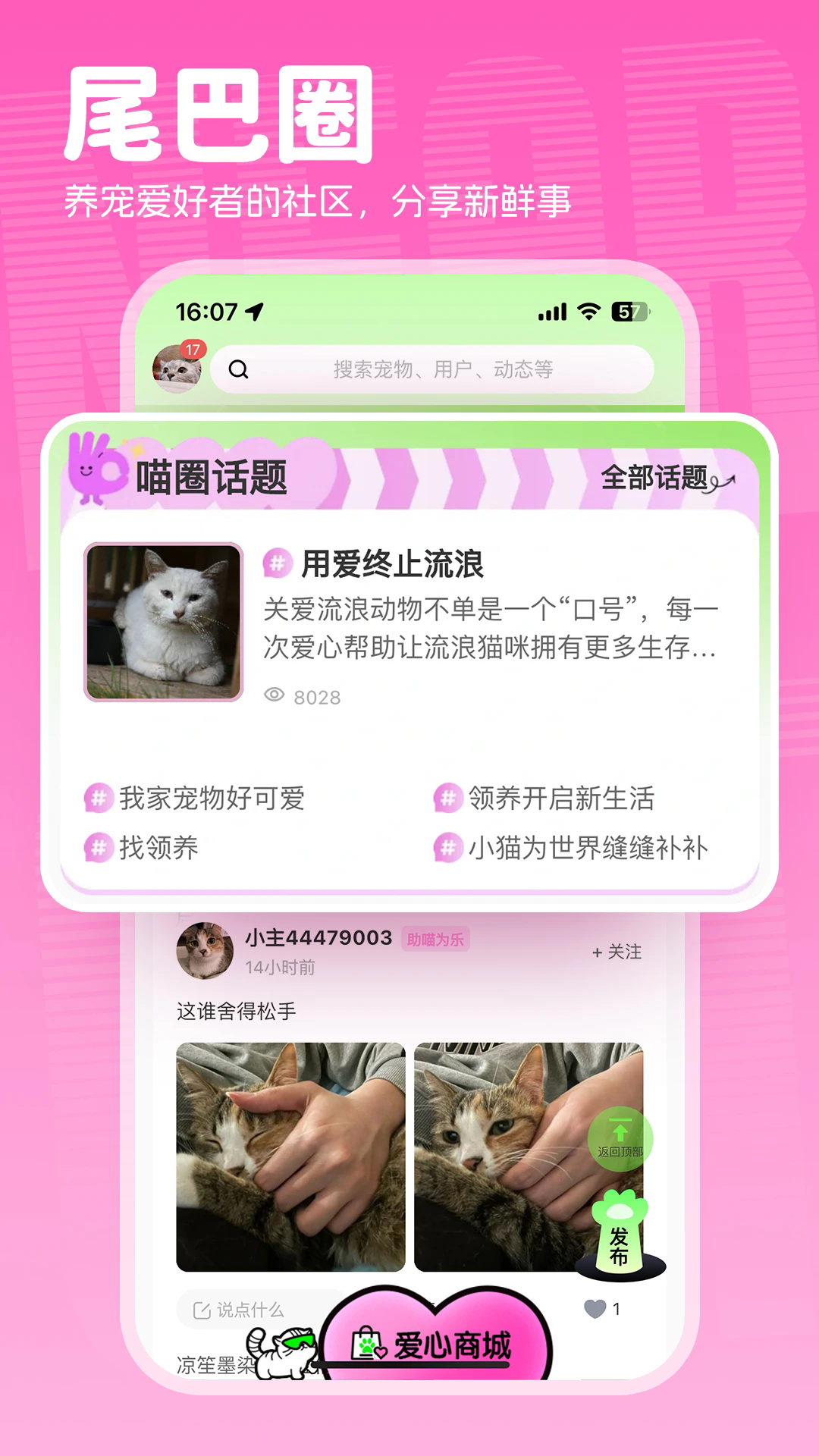 附近有喵截图4