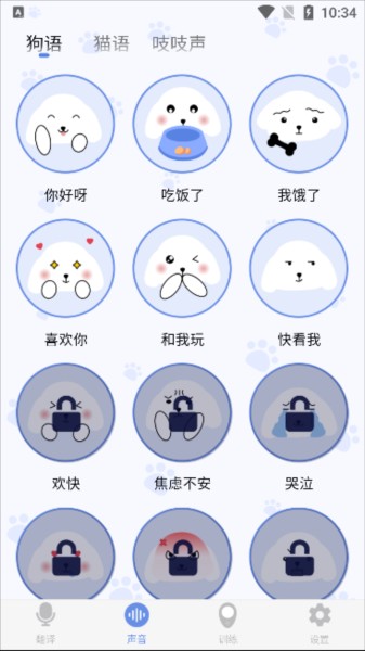 小白交流翻译app4