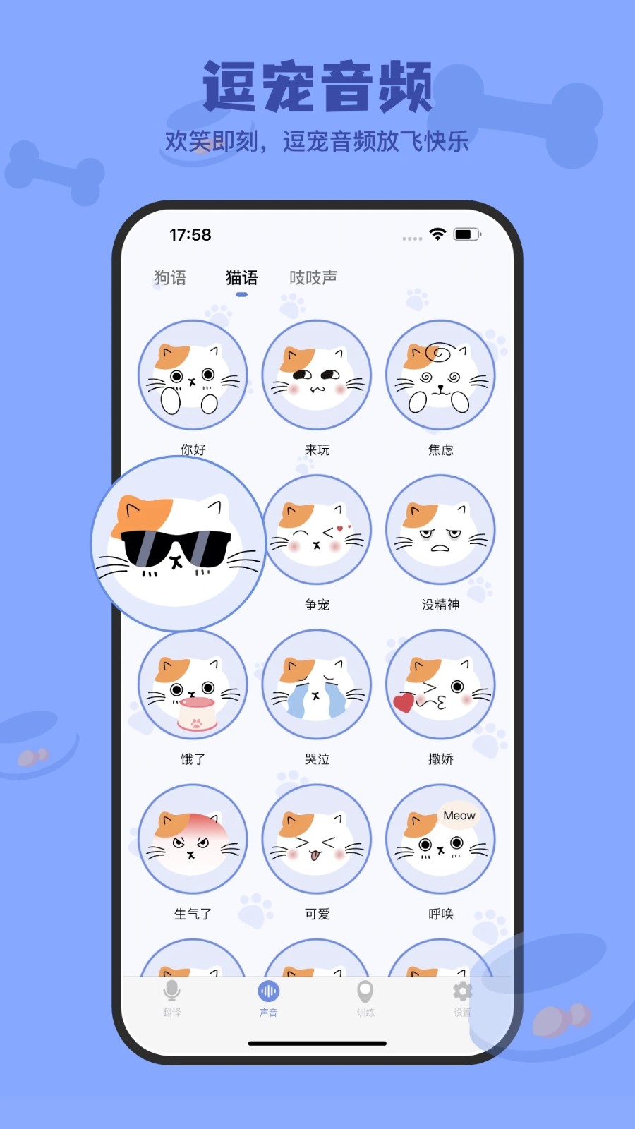 小白交流翻译截图2