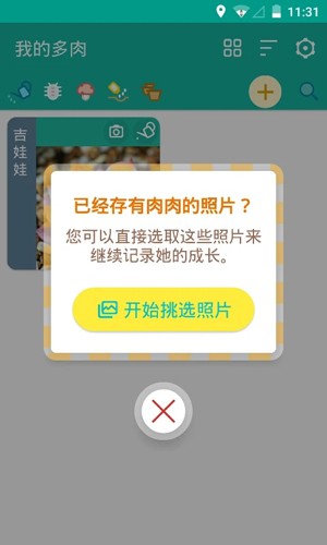 多肉花草成长日记