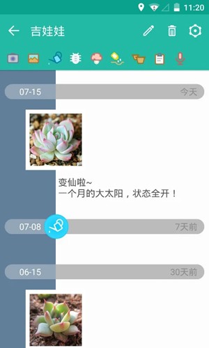 多肉花草成长日记