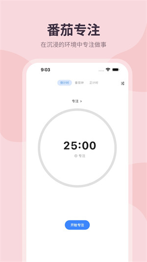 计划大师