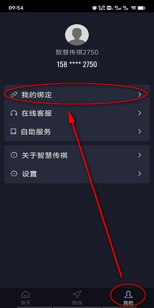 传祺新能源