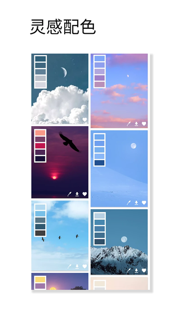 观色配色截图2