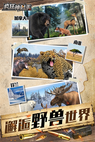 疯狂神射手截图2