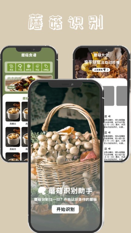 预览图4