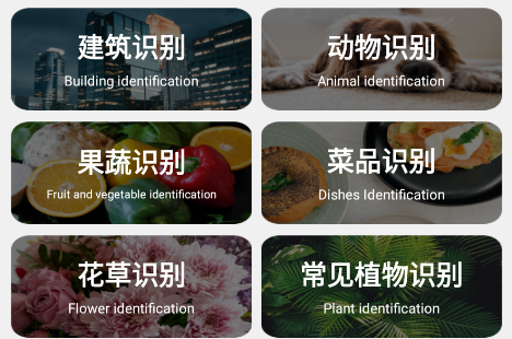 万能识物