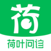 荷叶问诊