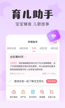 预览图4