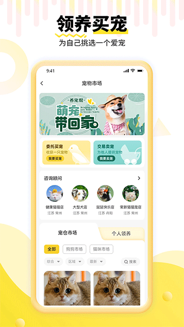 预览图4