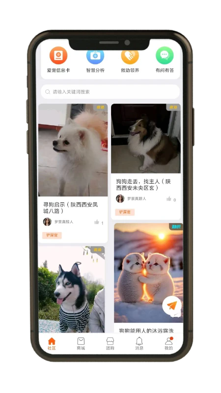 预览图4